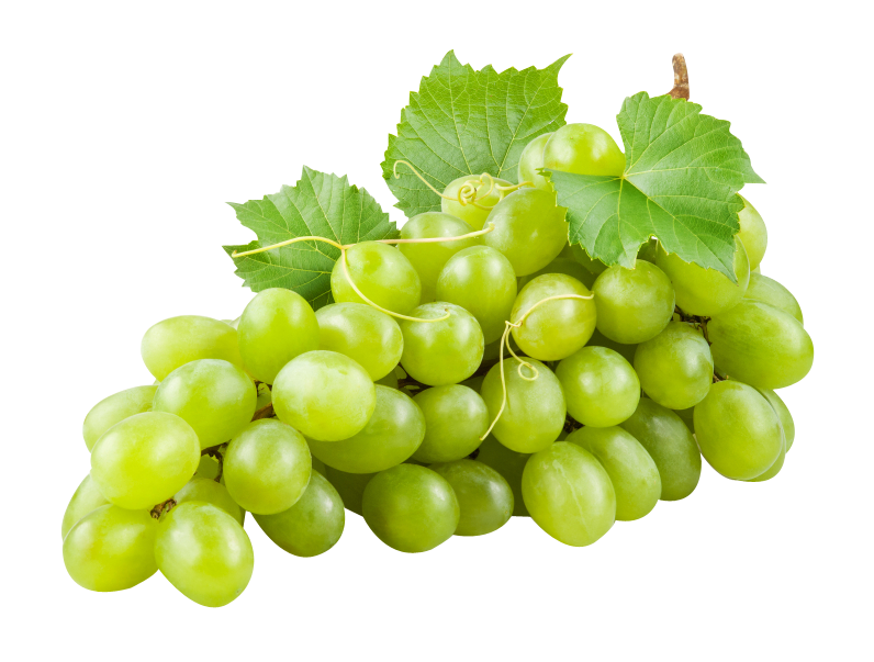 Grapes